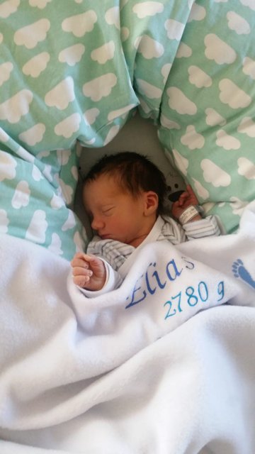Beate Fabian Elias Troxler