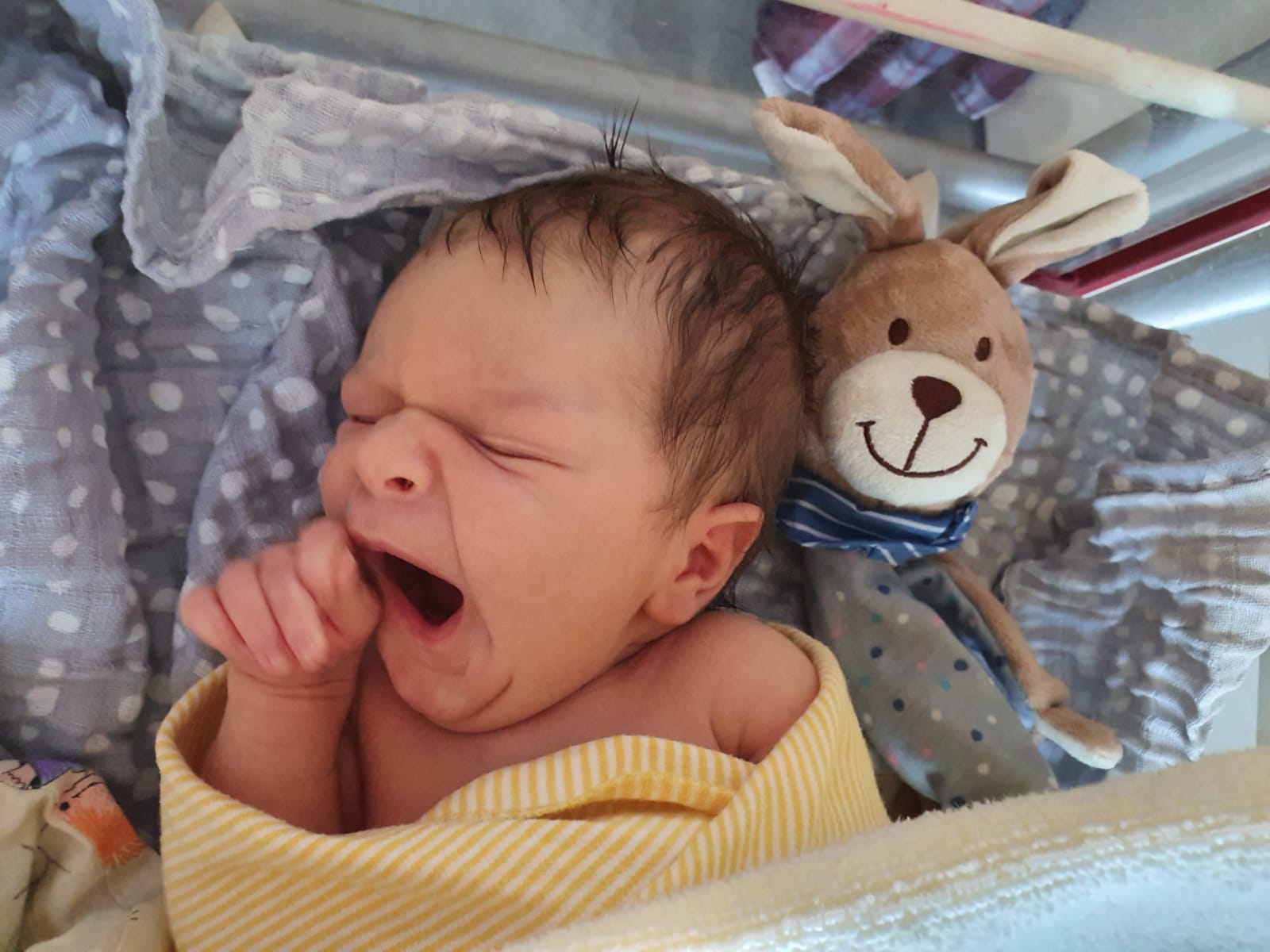 Sebastian Laura Samu